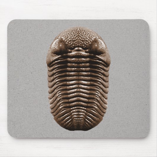 Trilobiteのマウスパッド マウスパッド (正面)