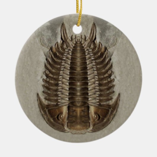 Trilobiteの化石のオーナメント セラミックオーナメント (正面)