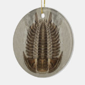 Trilobiteの化石のオーナメント セラミックオーナメント (左)