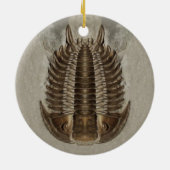 Trilobiteの化石のオーナメント セラミックオーナメント (裏面)