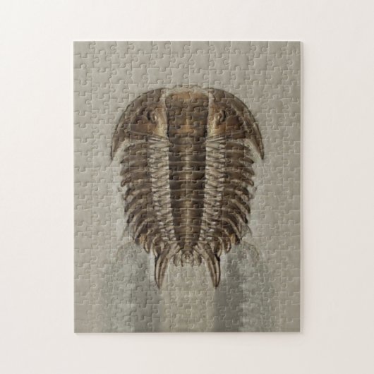 Trilobiteの化石のパズル ジグソーパズル (縦)