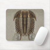 Trilobiteの化石のマウスパッド マウスパッド (マウス)