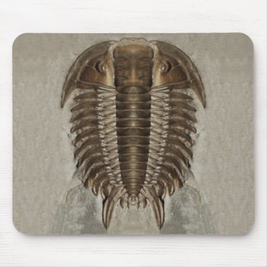 Trilobiteの化石のマウスパッド マウスパッド (正面)