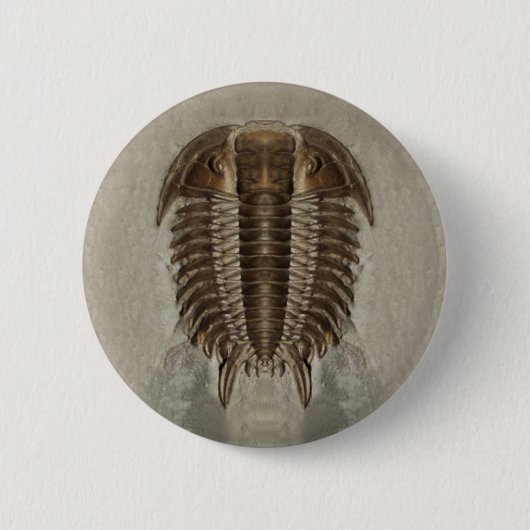 Trilobiteボタン 缶バッジ (正面)