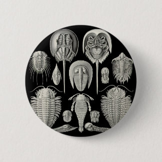 Trilobite! 缶バッジ