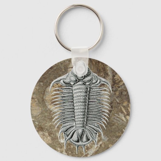 Trilobite Keychain キーホルダー (正面)