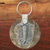 Trilobite Keychain キーホルダー (正面)