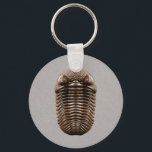 Trilobite Keychain キーホルダー<br><div class="desc">The perfect trilobite fossil. Produced by digitally repairing the chips and dings in the image of a specimen with a far more average appearance.</div>