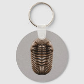 Trilobite Keychain キーホルダー (正面)
