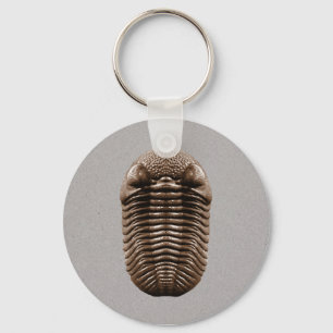 Trilobite Keychain キーホルダー