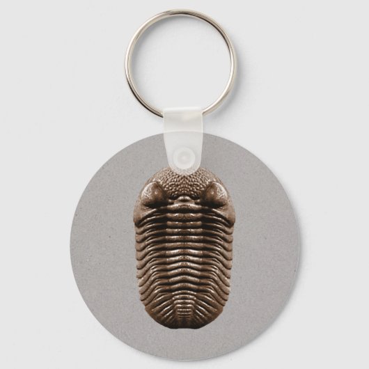 Trilobite Keychain キーホルダー (正面)