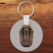 Trilobite Keychain キーホルダー (正面)