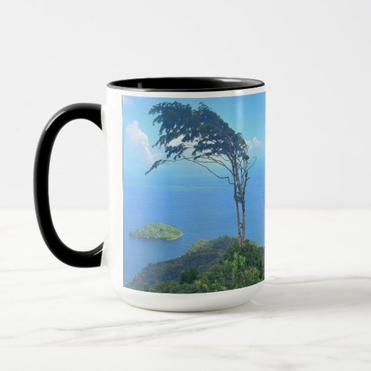 trinidad paramin mug マグカップ (左)
