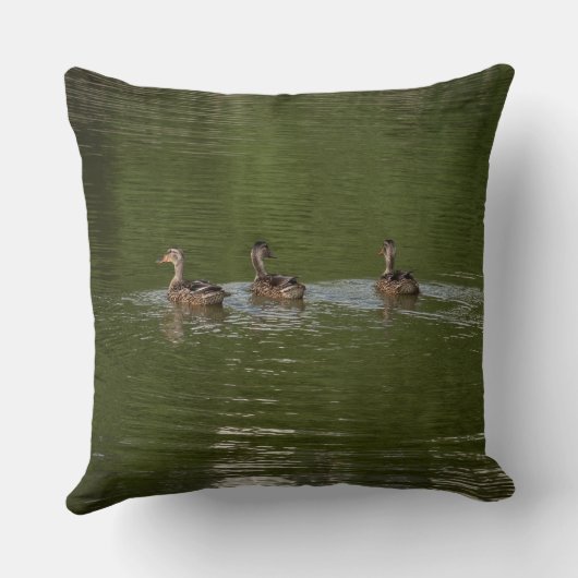 Trio of Ducks クッション (裏面)