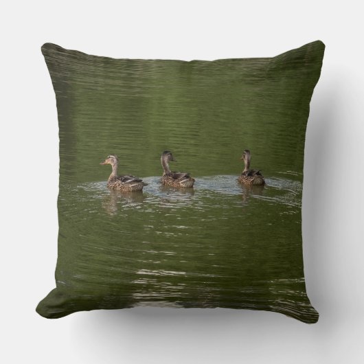 Trio of Ducks クッション (正面)