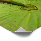 Triple Lotus & Lily Pad Pattern Poster ポスター (角)