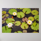 Triple Lotus & Lily Pad Pattern Poster ポスター (正面)