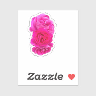 Triple Pink Roses  シール