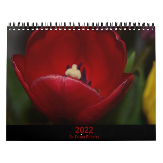 Trisha Roberts Calendarによる写真 カレンダー (カバー)