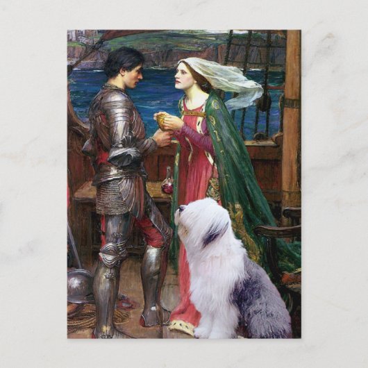 TristamとIsolde-Old English Sheepdog 1 ポストカード (正面)
