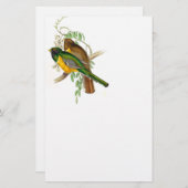 Trogon Bird BT文房具 便箋 (正面/裏面)