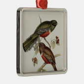 Trogon Collaris メタルオーナメント (右)