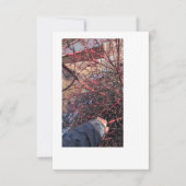 Troll Geocache Card 招待状 (正面)