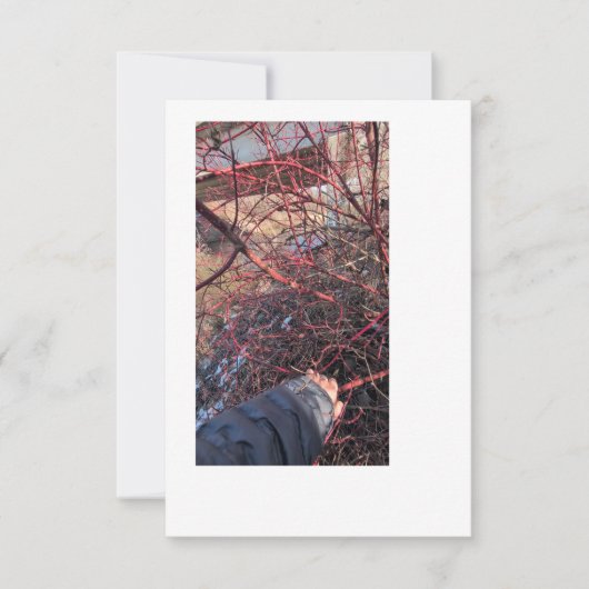 Troll Geocache Card 招待状 (正面)