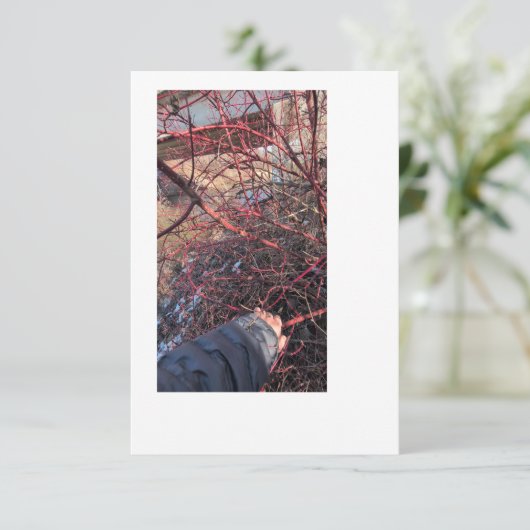 Troll Geocache Card 招待状 (スタンド正面)