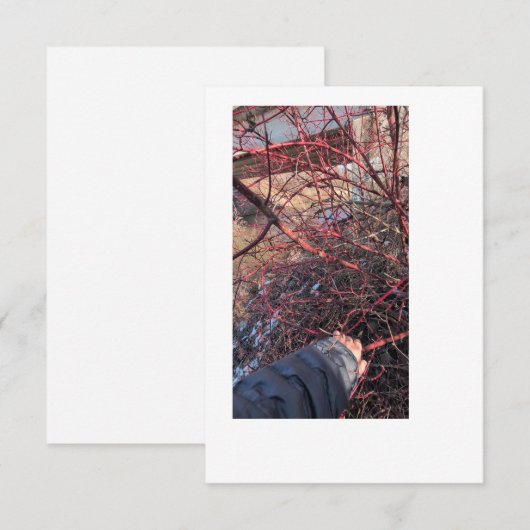 Troll Geocache Card 招待状 (正面/裏面)