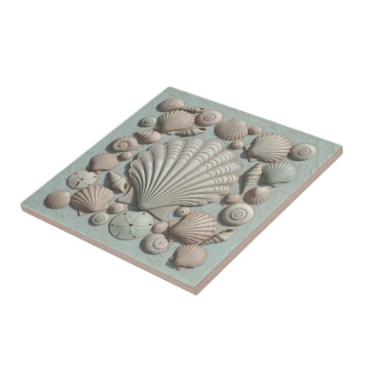 Trompe L'oeil Marine Life Shell Collection ID1190b タイル (側面)