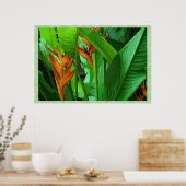 Tropic Birds 36 x 24ポスター ポスター (キッチン)