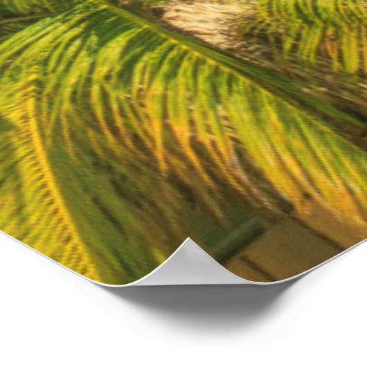 Tropical beach resort, Belize ポスター (角)