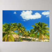 Tropical beach resort, Belize ポスター (正面)