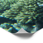 Tropical Beaches | Ari Atoll Maldives ポスター (角)