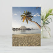 Tropical Beaches | Beach Huts, Bora Bora サンキューカード (スタンド正面)