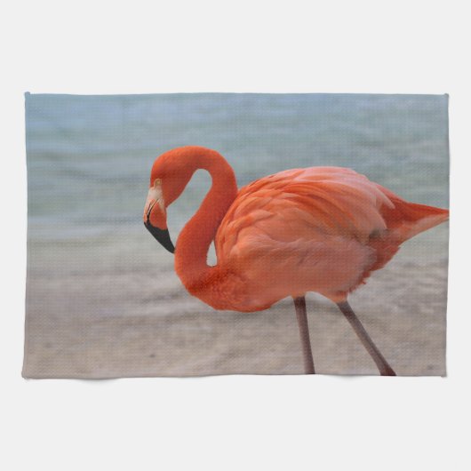 Tropical Beaches | Caribbean Flamingo, Aruba キッチンタオル (横)