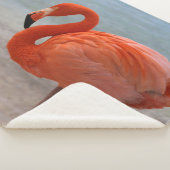 Tropical Beaches | Caribbean Flamingo, Aruba シェルパブランケット (3/4)