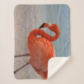 Tropical Beaches | Caribbean Flamingo, Aruba シェルパブランケット (正面)