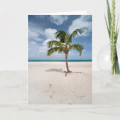 Tropical Beaches | Eagle Beach, Aruba カード (正面)
