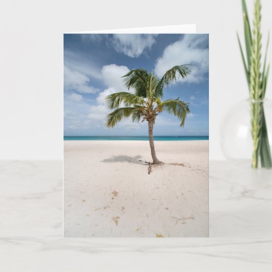 Tropical Beaches | Eagle Beach, Aruba カード (正面)