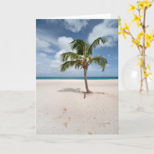 Tropical Beaches | Eagle Beach, Aruba カード (黄色い花)