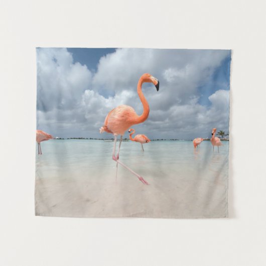 Tropical Beaches | Flamingos Beach, Aruba タペストリー (正面(横))