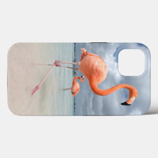 Tropical Beaches | Flamingos Beach, Aruba Case-Mate iPhoneケース (裏面 (横))