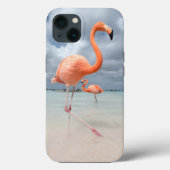 Tropical Beaches | Flamingos Beach, Aruba Case-Mate iPhoneケース (裏面)