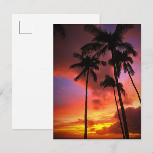 Tropical Beaches | Maui Hawaii Islands ポストカード (正面/裏面)