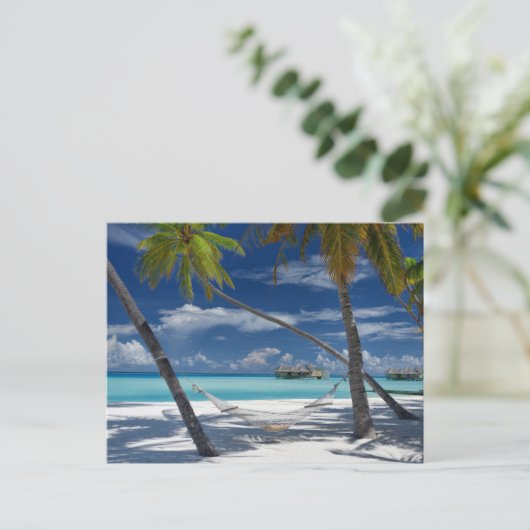 Tropical Beaches | Sandy Beach, Maldives ポストカード (スタンド正面)
