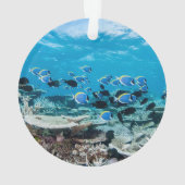 Tropical Beaches | Sturgeon Amongst Coral オーナメント (裏面)
