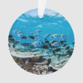 Tropical Beaches | Sturgeon Amongst Coral オーナメント (正面)