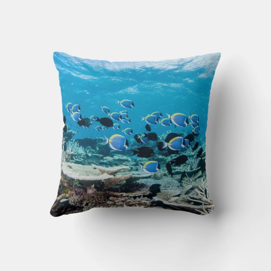 Tropical Beaches | Sturgeon Amongst Coral クッション (裏面)